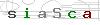 weryfikator