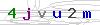 weryfikator