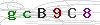 weryfikator
