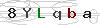 weryfikator