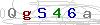 weryfikator
